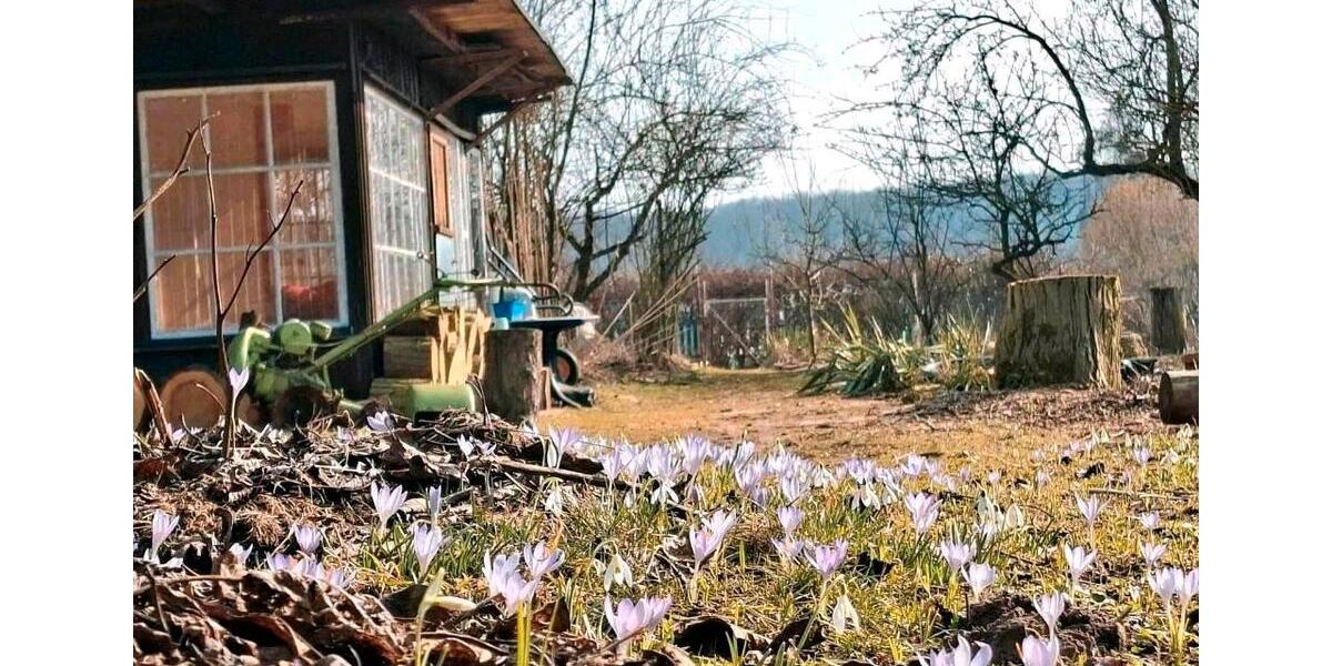 Grundstück Neustrelitz - 5.500&euro; | Angebot:26397507