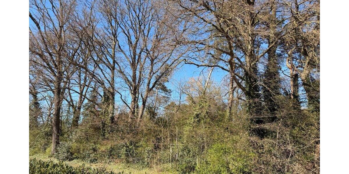 Grundstück Eystrup - 85.000&euro; | Angebot:26127589