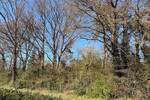 Grundstück Eystrup - 85.000&euro; | Angebot:26127589