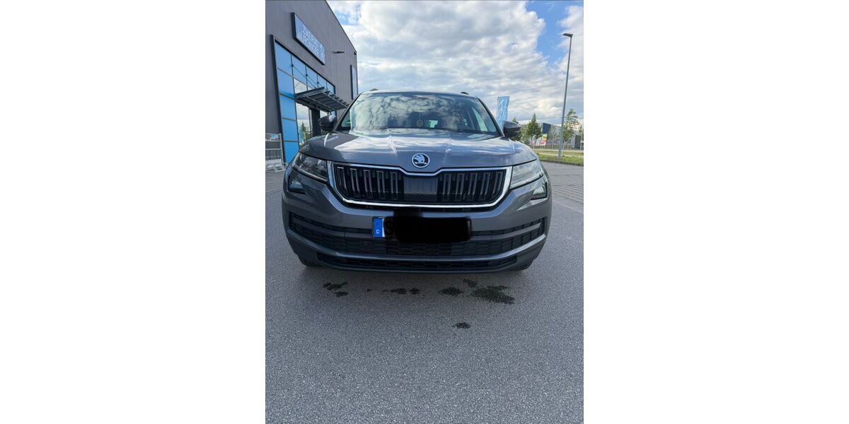 Skoda Kodiaq 165.025 km 17.990 &euro; Irlbach 94342