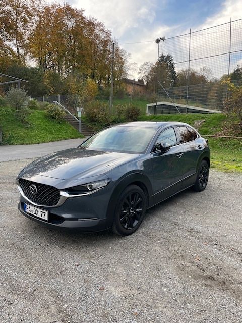 CX-30