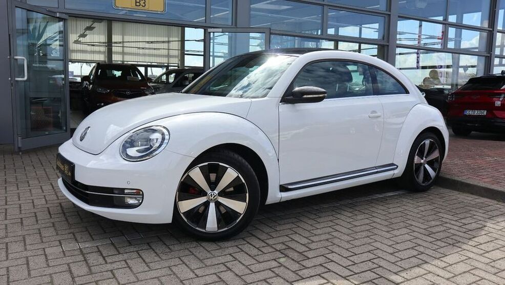 Beetle