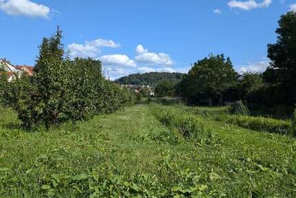 Grundstück zu verkaufen in Weinheim 329.850 € 965 m² zimmer