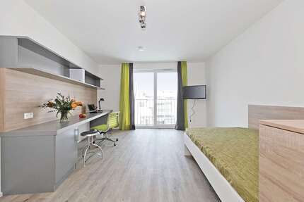 Wohnung Bonn Bonn-Zentrum - 1 Zimmer, 31 m&sup2;, 483&euro; | Angebot:27449699
