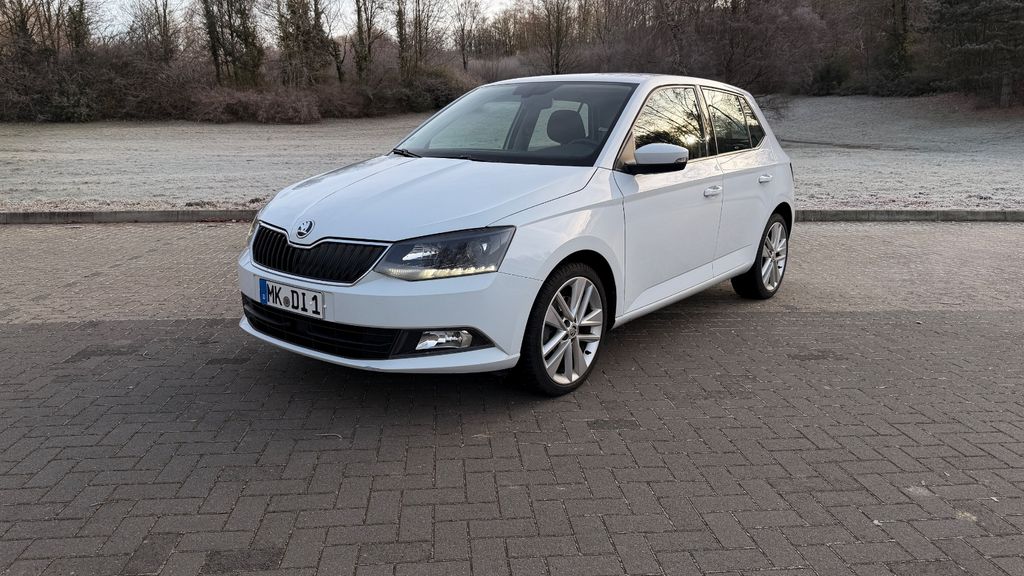 Skoda Fabia 100.995 km 11.190 &euro; Iserlohn 58640