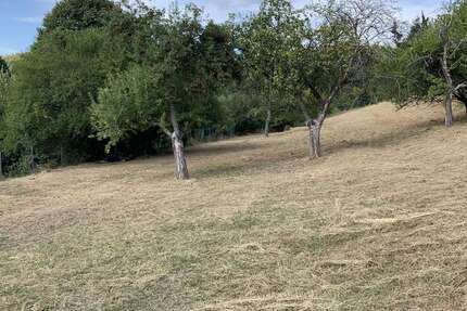 Grundstück Schmitten-Arnoldshain Arnoldshain - 150.000&euro; | Angebot:23680514