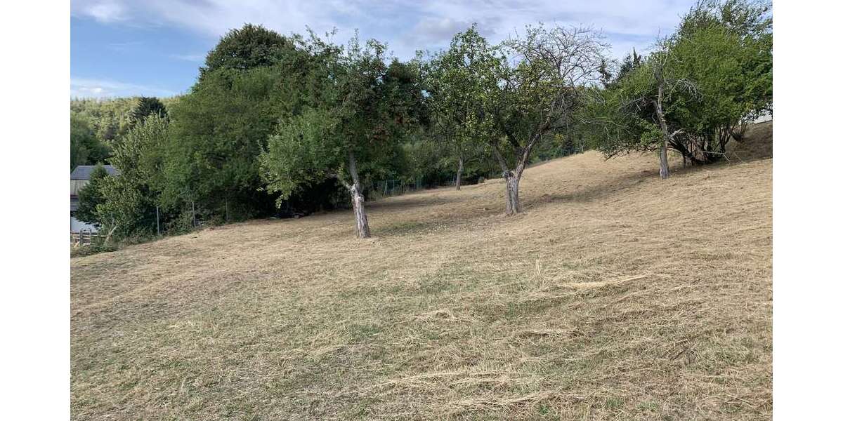 Grundstück zu verkaufen in Schmitten-Arnoldshain 150.000 € 740 m² zimmer