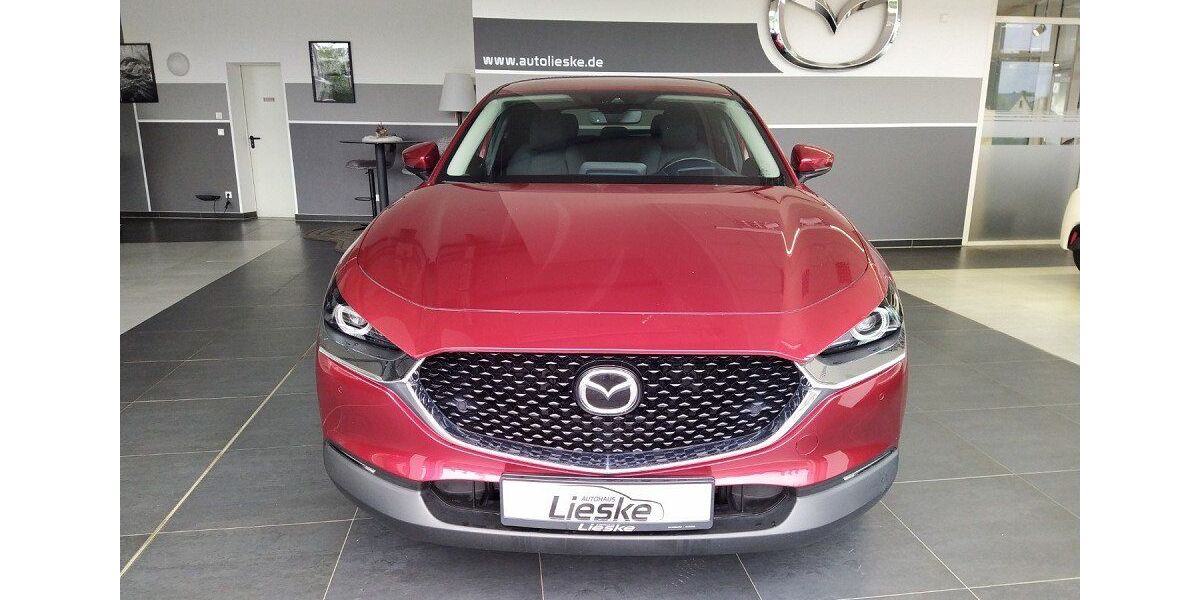 Mazda CX-30 98.520 km 16.490 &euro; Sprotta-Siedlung 04838