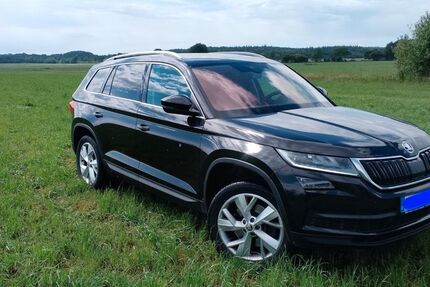 Skoda Kodiaq 175.000 km 17.000 &euro; Gnutz 24622