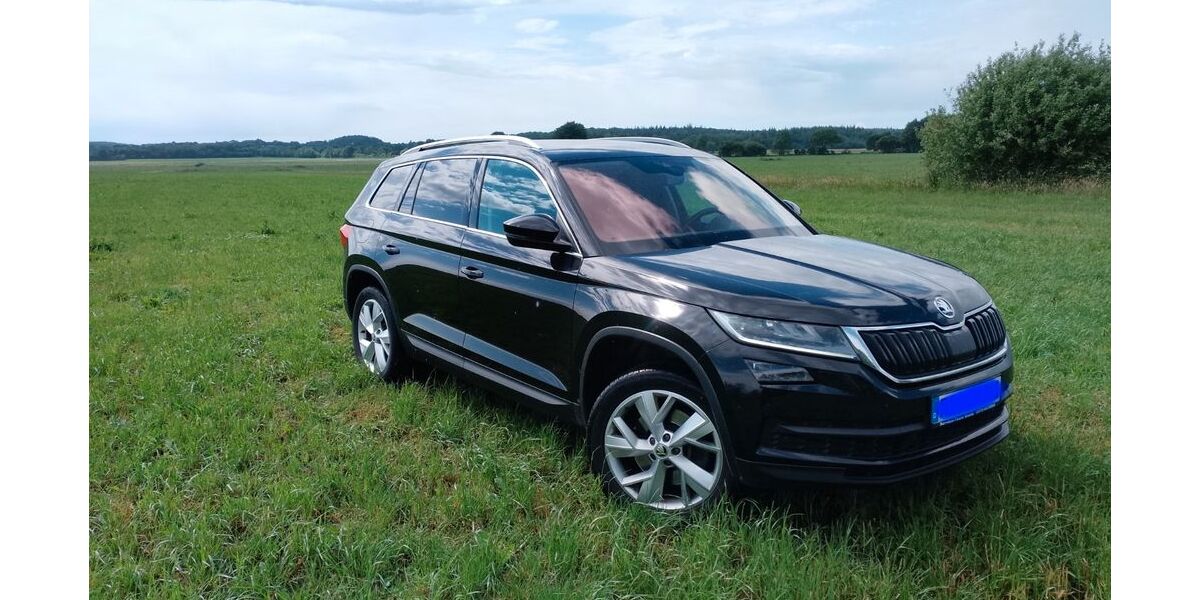 Skoda Kodiaq 175.000 km 17.500 &euro; Gnutz 24622