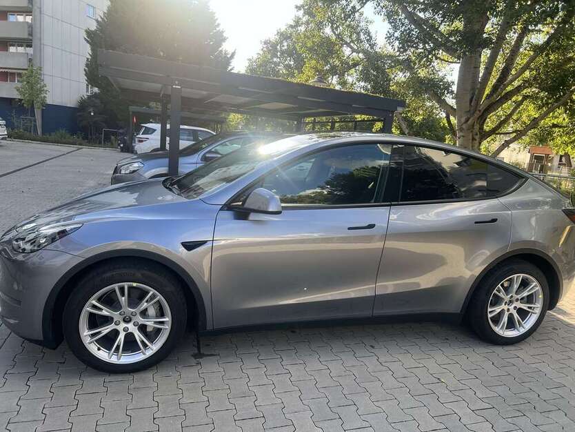 Model Y