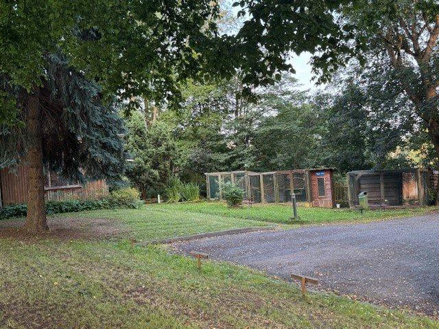 Etagenwohnung Heilbad Heiligenstadt - 1 Zimmer, 25 m&sup2;, 240&euro; | Angebot:26251306