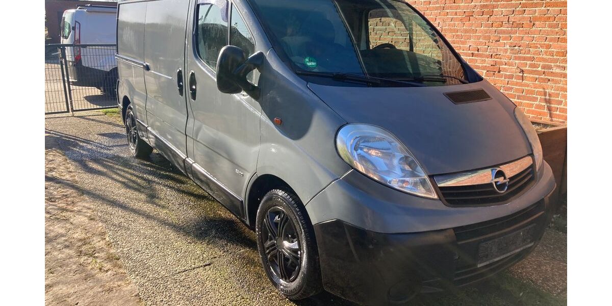 Opel Vivaro 219.155 km 4.800 &euro; Borgstedt 24794