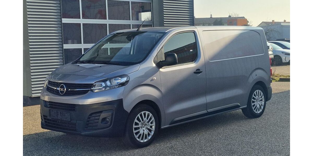 Opel Vivaro 70.000 km 20.499 &euro; Landau 76829