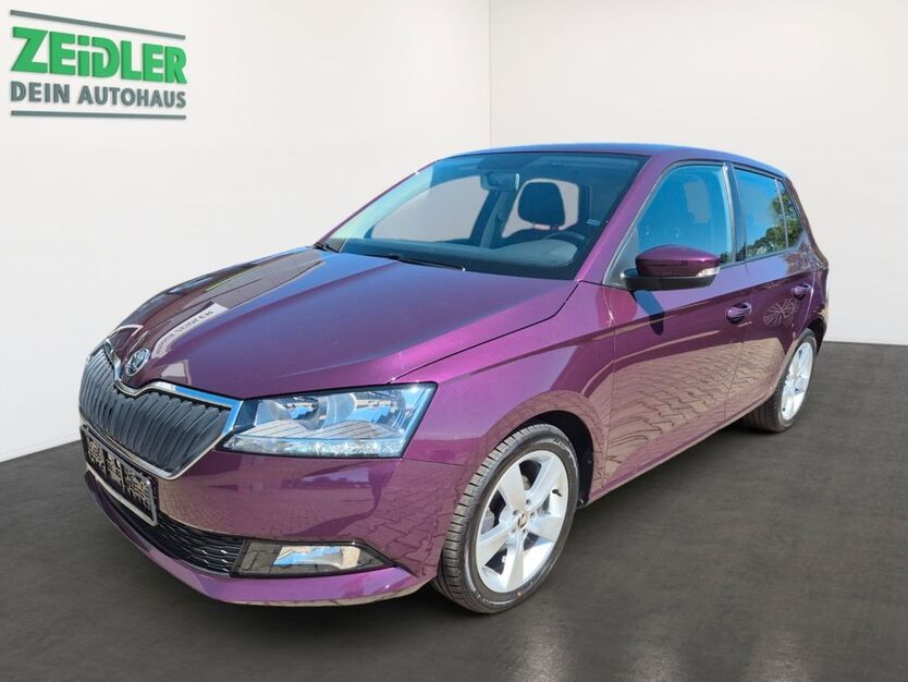 Skoda Fabia 53.390 km 12.950 € Mylau 08499