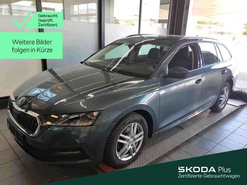 Octavia