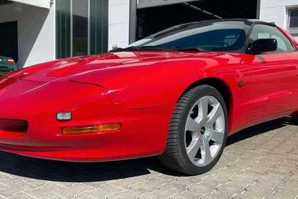 Pontiac Firebird 102.770 km 8.990 &euro; Heidenheim 89520