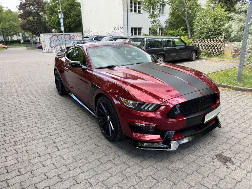 Mustang
