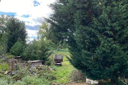 Grundstück für Ihr neues ScanHaus - ruhig gelegen in Regis-Breitingen zimmer