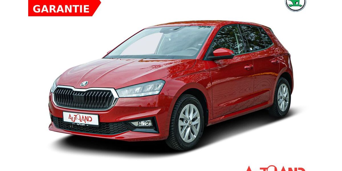 Skoda Fabia 8.921 km 20.890 &euro; Brehna 06796