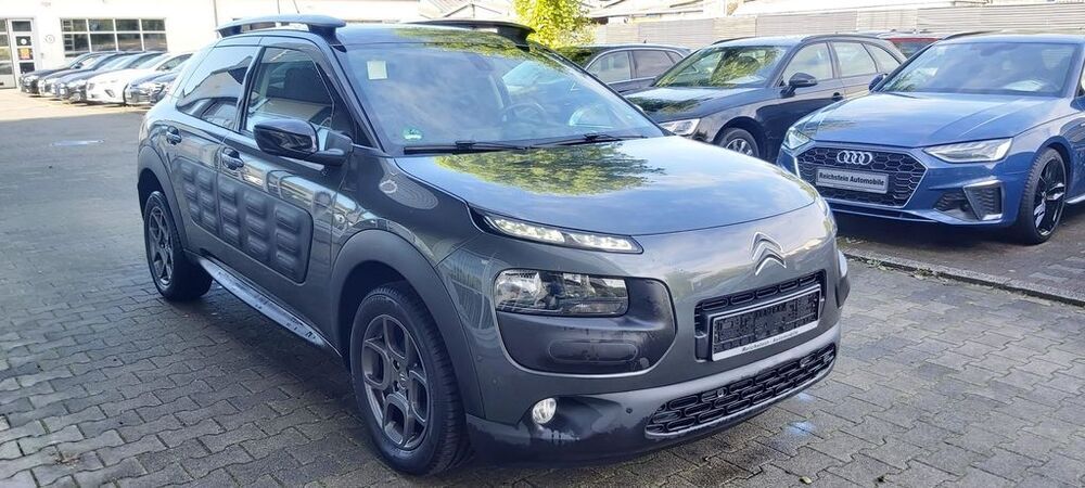 C4 Cactus