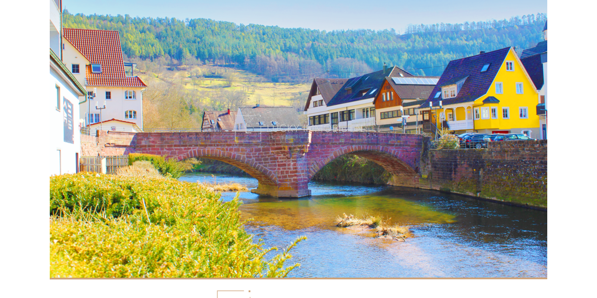 Einfamilienhaus Wildberg - 21 Zimmer, 813 m&sup2;, 1.180.000&euro; | Angebot:26053457