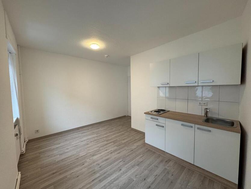 Renovierte gemütliche 1 Zi. Wohnung mit Duschbad & Pantry Küche