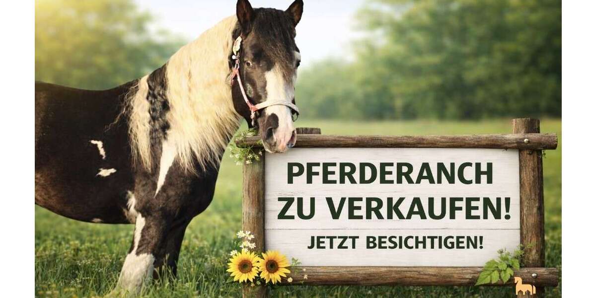 Einfamilienhaus Diepholz - 15 Zimmer, 365 m&sup2;, 395.000&euro; | Angebot:26295579