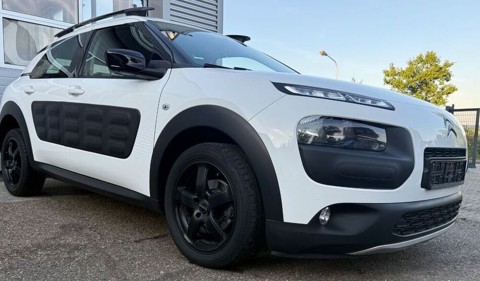 C4 Cactus