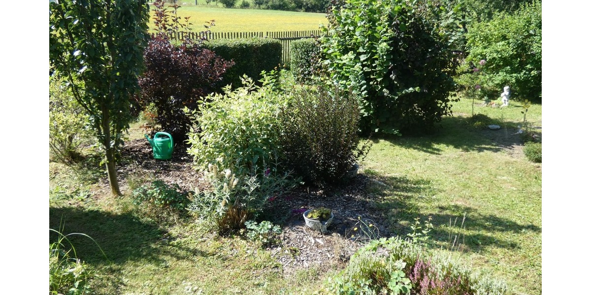 Mehrfamilienhaus, Wohnhaus Schleiz - 3 Zimmer, 45 m&sup2;, 39.000&euro; | Angebot:25796098