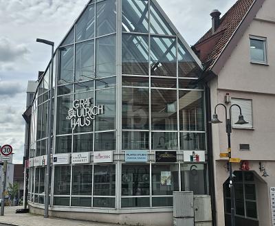 EXTRAVAGANTES GLASHOUSE IN TOP LAGE - Gewerbeobjekt Leonberg | Angebot:25096208