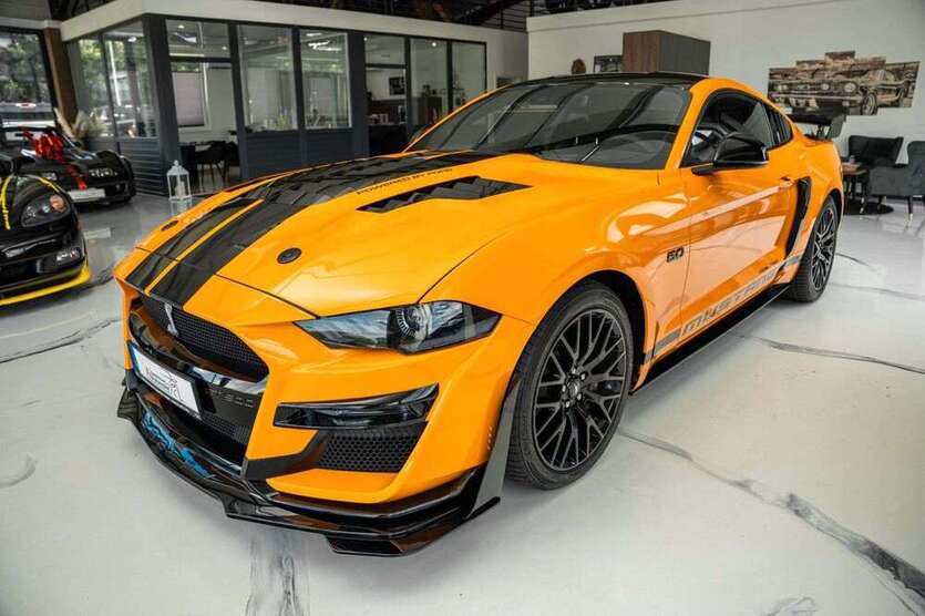 Mustang