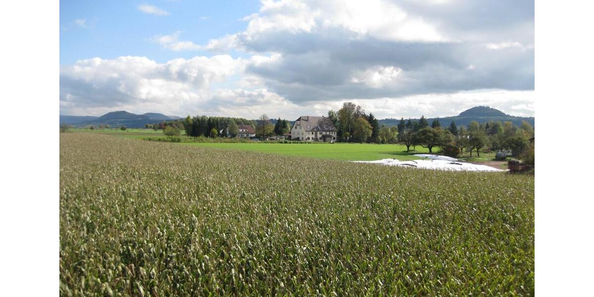 Mehrfamilienhaus, Wohnhaus Lorch - 7 Zimmer, 245 m&sup2;, 795.000&euro; | Angebot:25395949