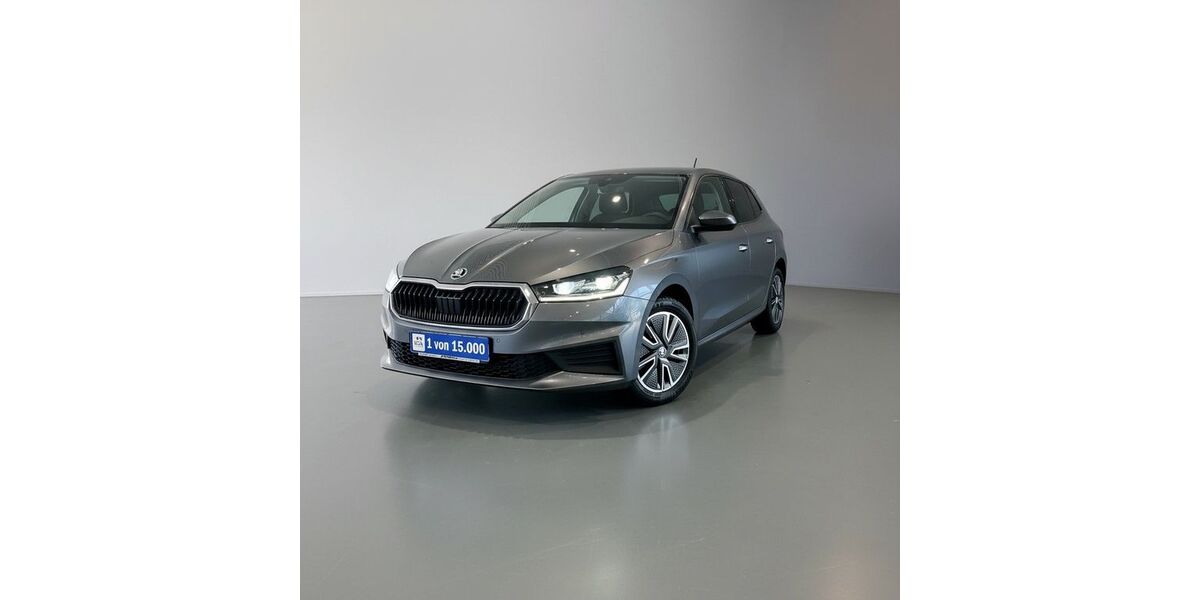 Skoda Fabia 30.796 km 16.900 &euro; Karlsruhe 76227