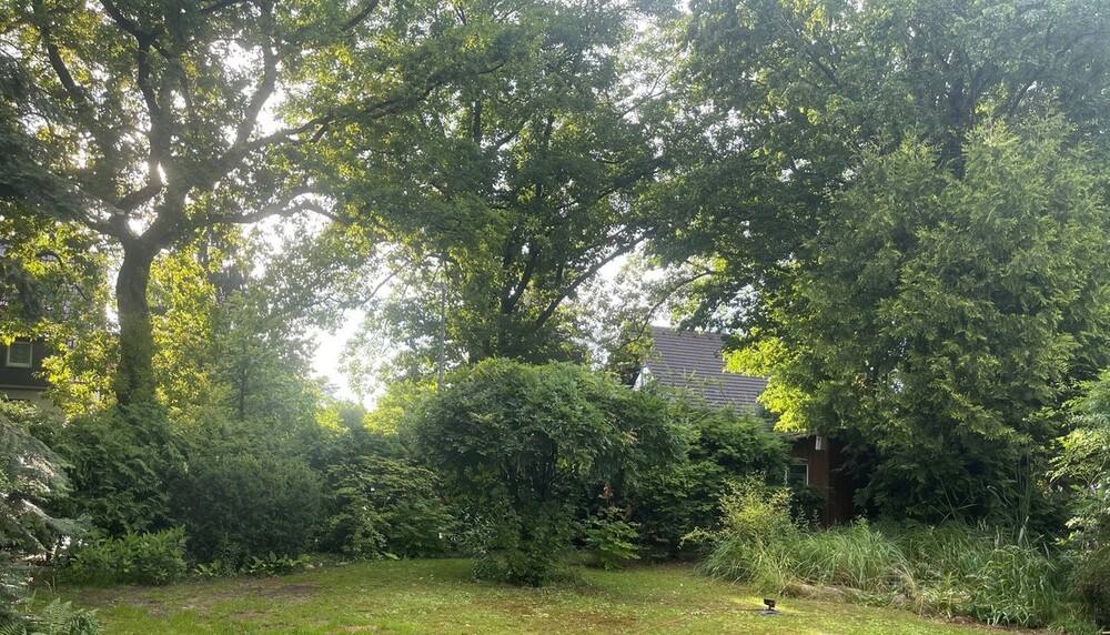 BAUTRÄGERFREIES GRUNDSTÜCK IN SCHÖNEICH BEI BERLIN... - Grundstück Schöneiche bei Berlin | Angebot:4793655