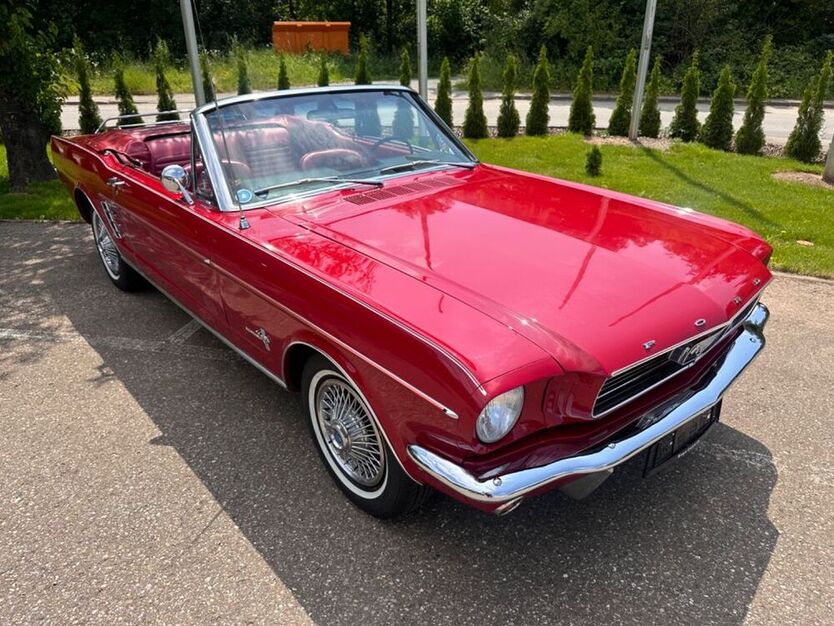 Mustang