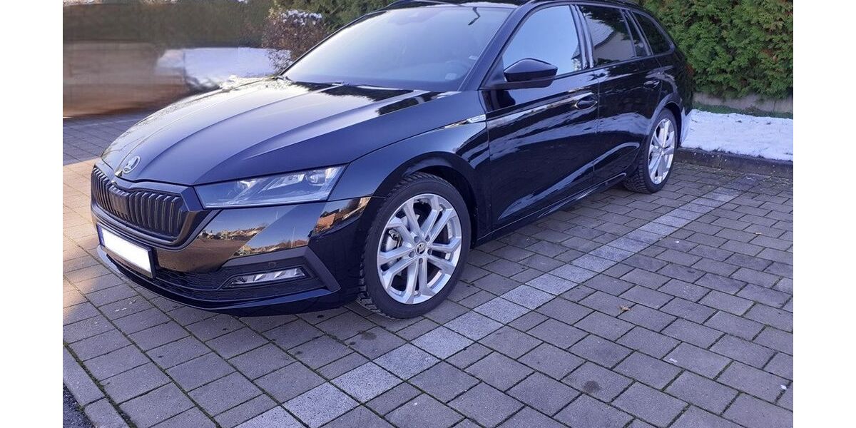 Skoda Octavia 25.650 km 25.600 &euro; Horn-Bad Meinberg 32805