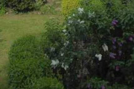 Vermietete 3-Zimmer-Eigentumswohnung mit Terrasse in Zeulenroda zu verkaufen 3 zimmer