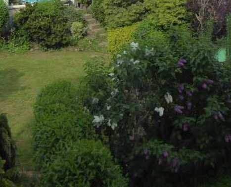 Vermietete 3-Zimmer-Eigentumswohnung mit Terrasse in Zeulenroda zu verkaufen 3 zimmer