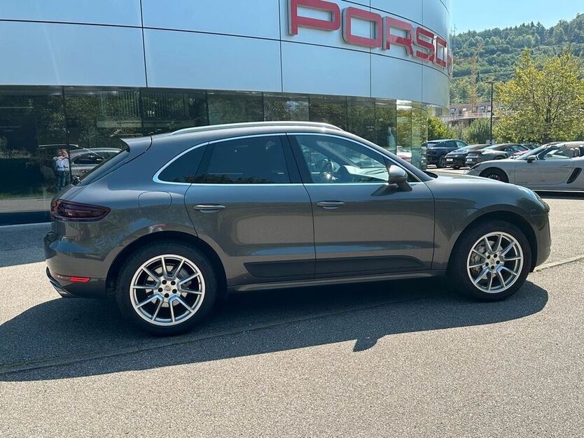 Macan