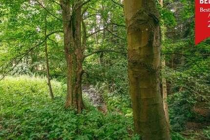 Grundstück zu verkaufen in Eitorf Halft 165.000 € 740 m² zimmer