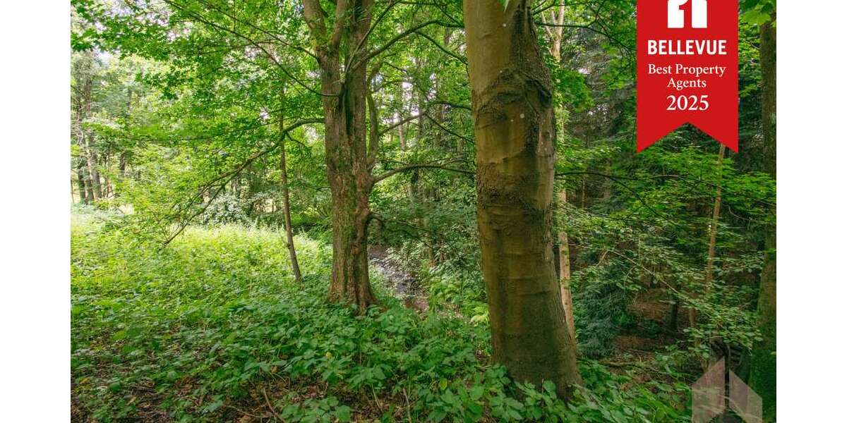 Grundstück zu verkaufen in Eitorf Halft 165.000 € 740 m² zimmer