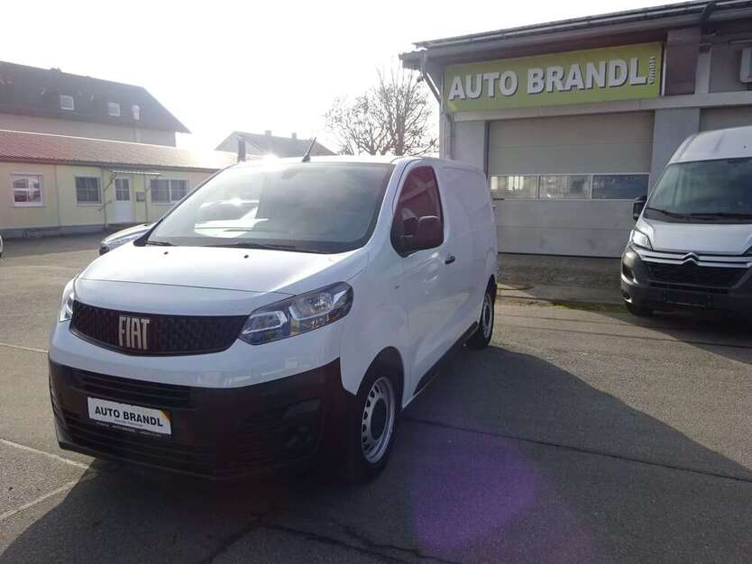 Scudo