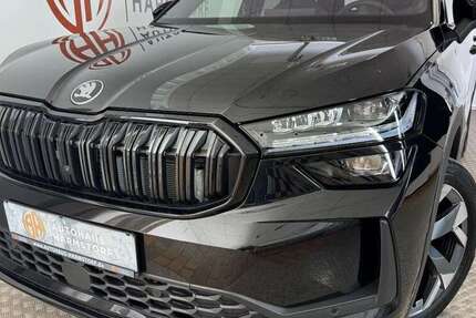 Skoda Kodiaq 1.070 km 43.975 &euro; Harmstorf 21228