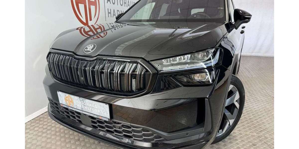 Skoda Kodiaq 1.070 km 43.975 &euro; Harmstorf 21228