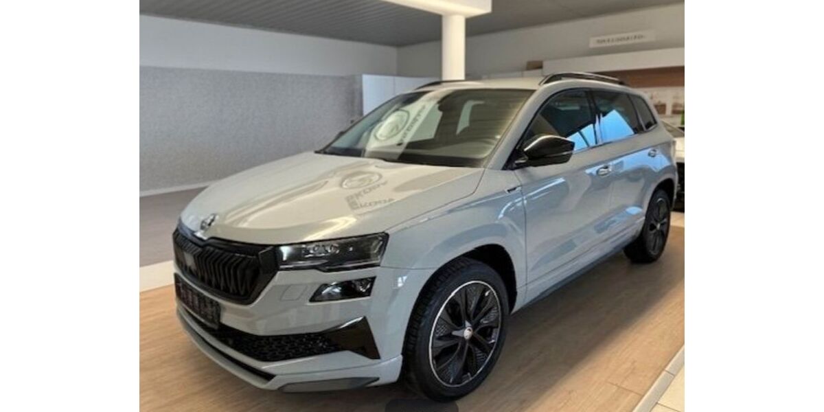 Skoda Karoq 82.000 km 23.899 &euro; Forst 03149
