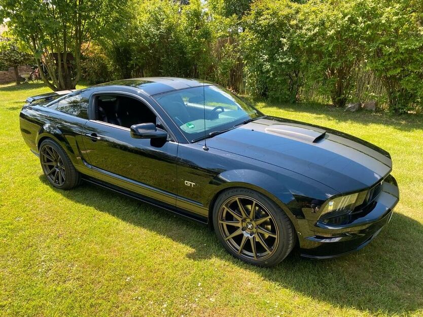 Mustang
