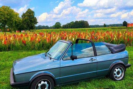 VW Golf 230.000 km 8.500 &euro; Georgsdorf 49828
