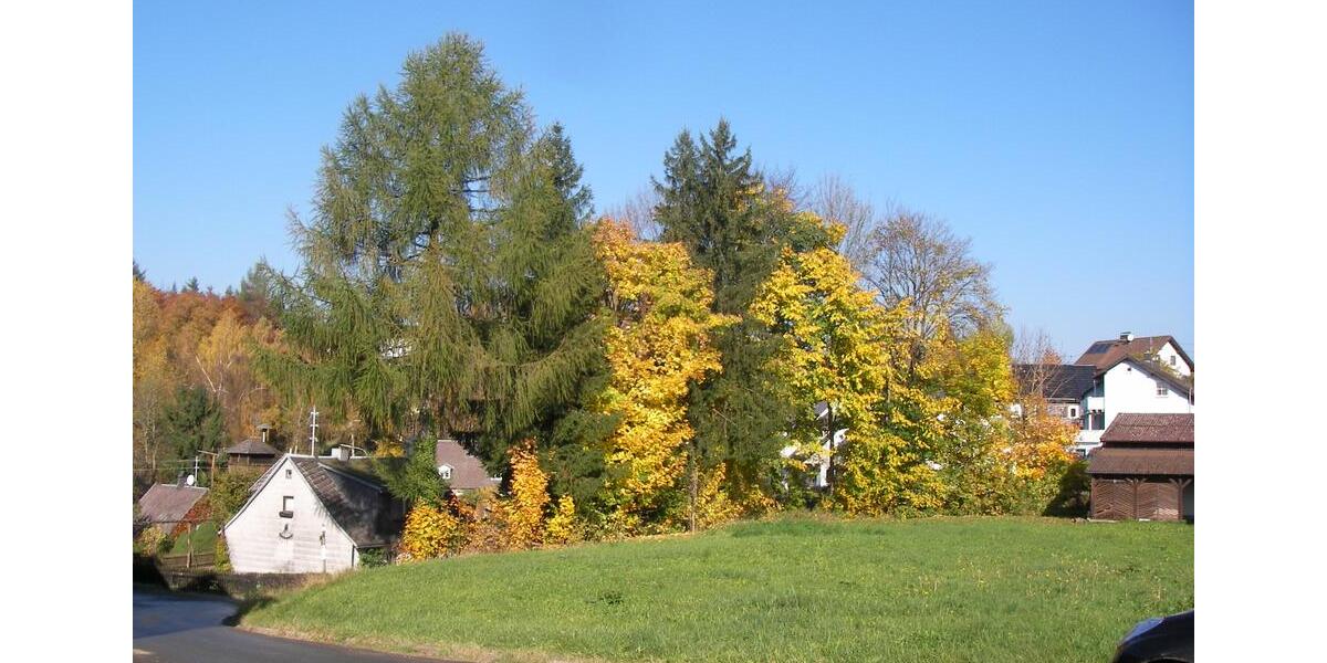 Ferienimmobilie Presseck Braunersreuth - 50&euro; | Angebot:13622116