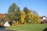 Ferienimmobilie Presseck Braunersreuth - 50&euro; | Angebot:13622116